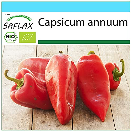 SAFLAX - - BIO - Peperone - Long Red Marconi - 20 semi - Capsicum annuum
