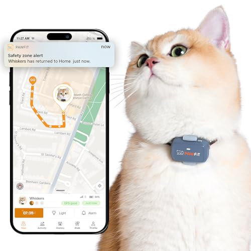 Pawfit Lite für Katzen 4G GPS-Tracker | Ultrakompakt <18g | Echtzeit-Tracking & Aktivität | Standortverlauf | Sicherheits-Halsband inkl. | Fliedergrau