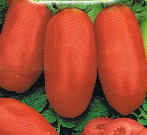 POMODORO SAN MARZANO NANO NR.200 SEMI