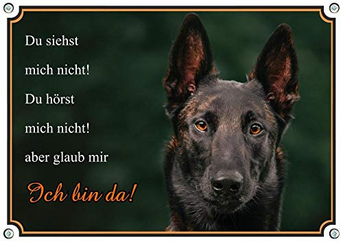Petsigns Hundeschild - Malinois - belg Schäferhund - Wachhund - uv-beständiges Warnschild, DIN A5