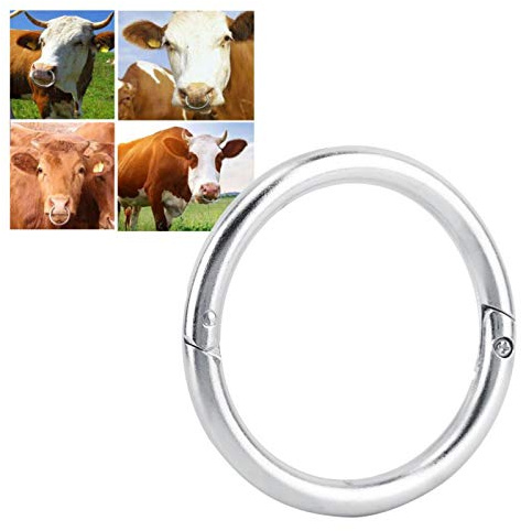 Niiyen Rinder-Nasenring, Edelstahl-Bullenkuh-Rinder-Nasenring, Haltungszubehör, automatische Verriegelung, unverzichtbare Werkzeuge für Landwirte und Tierärzte(Mittel)
