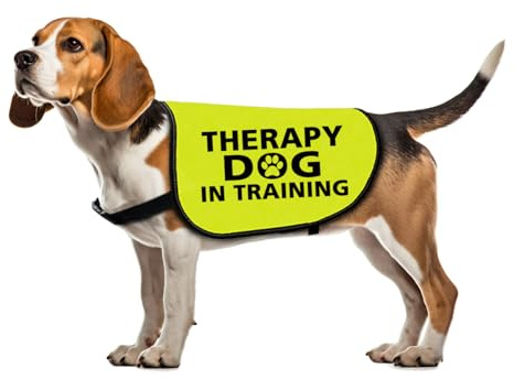 Funny Therapy Hundejacke – Weste für Assistenz Hund beim Training – Slogan Weste Geschenk (groß)