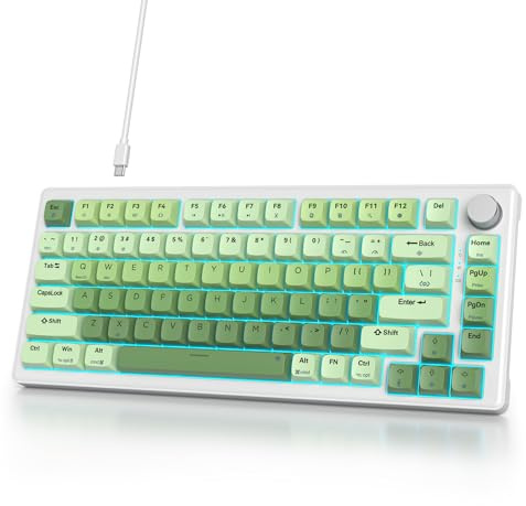 SbocKeeb V500 Mechanische Tastatur mit Knopf, Amerikanische QWERTY 75% Kabelgebundene Gaming-Tastatur, Dichtung Hot Swap, Vorgeschmierte Weiß Schalter RGB, für PC, MAC Gradient Green