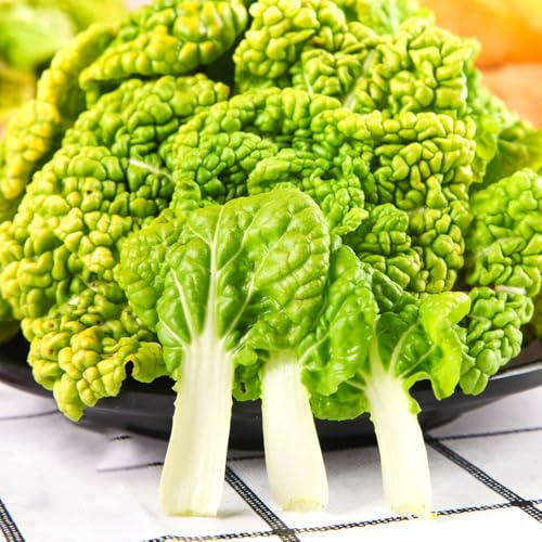Semi di Pak Choi, giardino sul balcone Semi di cavolo cinese biologici, semi di vecchie varietà da balcone resistenti acquistare 250pcs