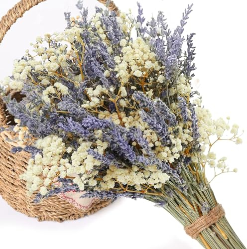 Best ZOIKOM Trockenblumen - Lavendel-Schleierkraut Getrocknet - Boho-Stil Deko - Hochzeit & Festlichkeiten - 90 Stiele à ca. 40 cm: 45x Lavendel, 45x Schleierkraut