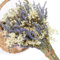 Dried Flowers,Dried Lavender & Baby's Breath Flowers Bundles, Dried Flower Bouquet for Vase, Natural Gypsophila, Valentines Day Decor Gifts, Home, Wedding, Photography, Floral Arrangement, DIY Wreath