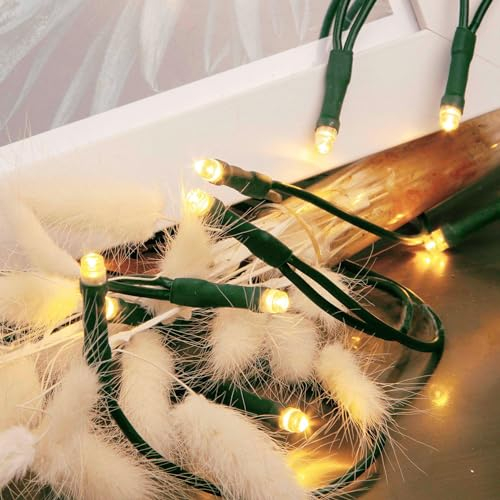 hellum LED mini Lichterkette innen, 2,85m Lichtlänge 20 LED Lichterkette innen, klassisch warmweiß mit Stecker, < 59lm, für Weihnachtsbaum Kabel grün, 577549