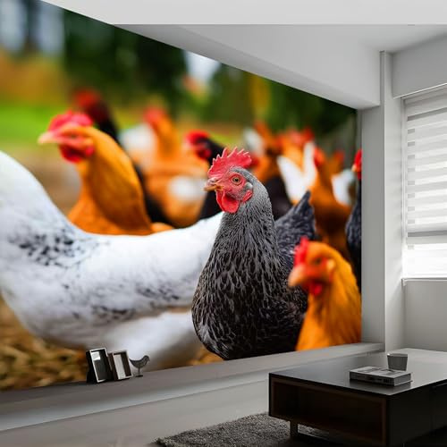 Genérico Fotomurales Decorativos Pared Naturaleza Animales Campo Pollo, Naranja Fotomural Decorativo para el Hogar 200 x 140 cm (An x Al) – Ldeal para Salón Dormitorio Oficina y Pared de TV