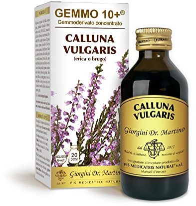 Dr Giorgini Integratore Alimentare, Erica Gemmoderivato Concentrato Liquido Analcoolico - 100 ml