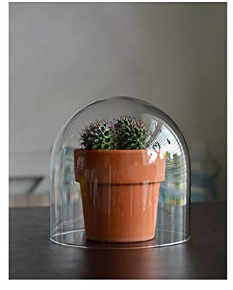 EMH Small Handmade Mouth Blown Clear Circular Glass Display Cloche Bell Jar Dome 20 cm