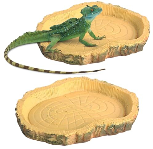 Lithyc 2 Pezzi Ciotola Rettili - Ciotola per Acqua E Cibo per Rettili - Abbeveratoio per Tartarughe di Terra - Adatto per Rettili E Anfibi, Lucertole, Rane, Gechi, Tartarughe, Paguri, ECC