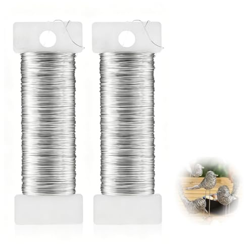 0,35mm x 100m Basteldraht Dünn, 2 Rollen Schmuck Basteldraht Dünn Silberdraht Floristendraht Wickeldraht Basteldrähte Basteln DIY Schmuckdraht für Modellbau Floristik Schmuckherstellung Bastelarbeiten