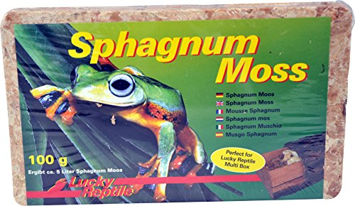 Lucky Reptile Sphagnum Moos Ziegel, Inhalt:5 Liter