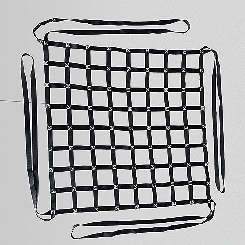 Gurtbandnetz, Ladungssicherungsnetz – Zurrnetz für Kisten und Paletten, verstellbare Ladungsnetzgurte, stark tragendes Hebene: 1,5 x 1,5 m/Masche 10 cm/Last 1 t (4 x 4 m/Masche 15 cm/Last 2,5 t))