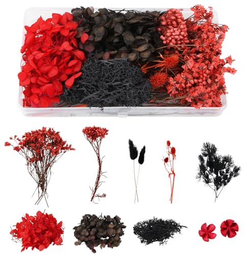Chstarina Real Dried Flowers, Natural Dried Flowers, Mixed Pressed Flowers Leaves, Floral Decorations, for DIY Crafts Resin Candle Scrapbooking Card Making