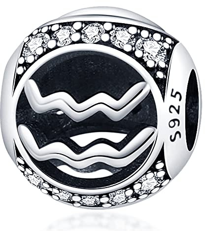 Star Sign Birthday Birth Month Date Horoscope Zodiac Constellation Charm Bead Pendant 925 Sterling Silver Compatible With Pandora Charm Moments Bracelet (Aquarius)