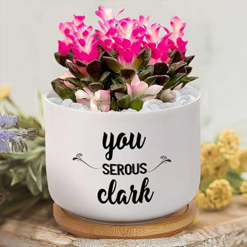 Yelolyio Meet Me Under The Mistletoe Succulent Pots with Drainage,Custom Garden Plant Pot Personalized Flower Pot Ceramic Pots for Plants Small Plant Pot Cactus Pots