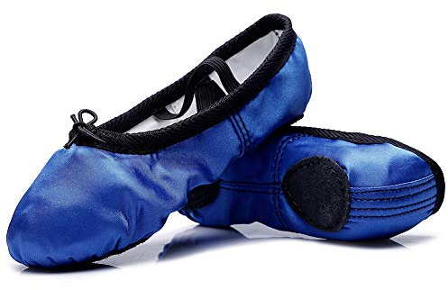 MSMAX Boys Ballet Shoes Little Kid Costume Dancing Flats Loyal Blue 7 M US Toddler