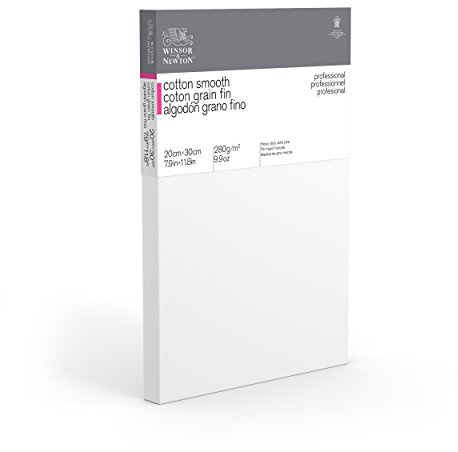 Winsor & Newton 6205022 Professional Stretcher Frame Fine Grain Canvas with 280 g/m² 100% Cotton Triple Primed for Watercolour, Oil Paints, Acrylic Paints - 20 x 30 cm