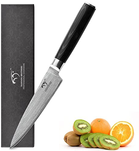 Coltello da Cucina Damasco da 5,5 Pollici, Pro Grade 67 Strati VG-10 Coltello da Cucina Ultra Affilato, Coltello da Cucina Con Manico Ergonomico, Resistente Alle Macchie e Alla Corrosione