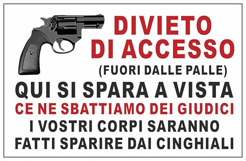 M-ITALY CARTELLO SEGNALETICO - DIVIETO DI ACCESSO QUI SI SPARA A VISTA - Adesivo Extra Resistente, Pannello in Forex, Pannello In Alluminio (Plastica, 30x42 cm)