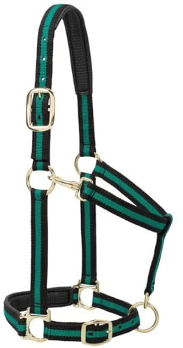 Weaver Leather Vadderad justerbar nylon hästgrimma grön, 2,5 cm genomsnittlig häst