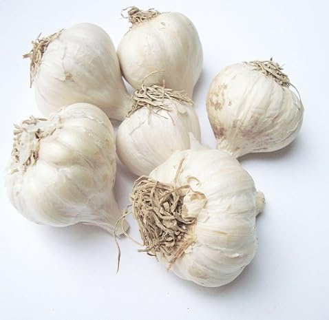 50 graines de légumes à l'ail frais