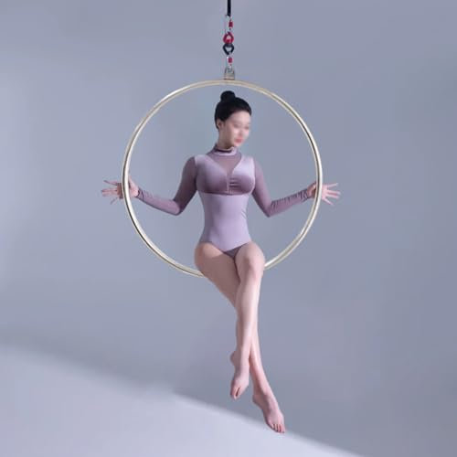 Aerial Hoop Einpunkt-Aerial-Lyra-Hoop, Akrobatik-Performance-Aerialring aus Edelstahl, Professioneller Aerial-Yoga-Reifen für Aerialisten/Profis (Size : 95 cm (37))