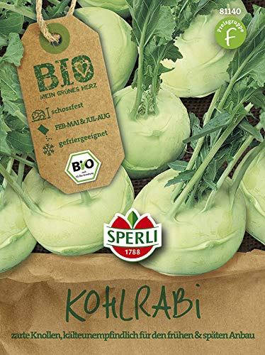 Sperli Gemüsesamen Bio-Kohlrabi weiß Lanro Bio-Saatgut, grün