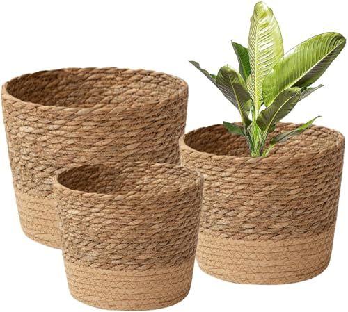 Lichi Lot de 3 paniers de fleurs en jonc de mer, 3 tailles de pots de fleurs tissés pour intérieur et extérieur, cache-pots de fleurs avec revêtement intérieur en plastique pour décoration d'intérieur