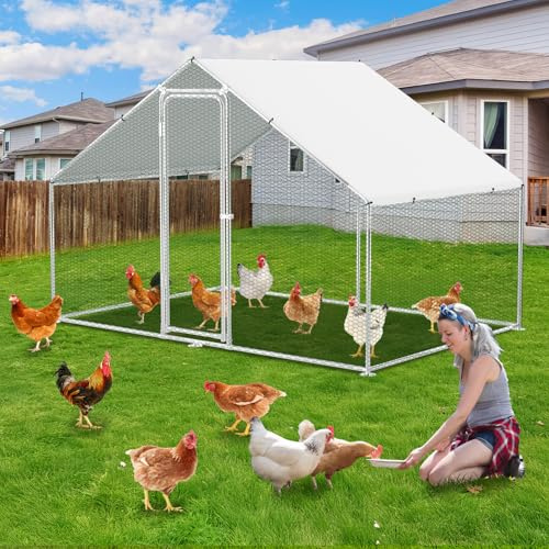 Härlig hönshus utomhuskapsling XL, 3 x 2 x 2 m med lås av galvaniserat stål och vattentät PE-färgduk djurinhägnad, snabb att rengöra, gott om plats för kycklingar