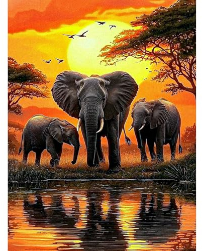 KEYIFA Paint by Numbers for Adults, Elephant at Sunset Painting by Number Canvas Kits with Acrylic Paint Brushes, DIY Craft Oil Painting Art Kits for Adults, Home Wall Decor 30x40cm