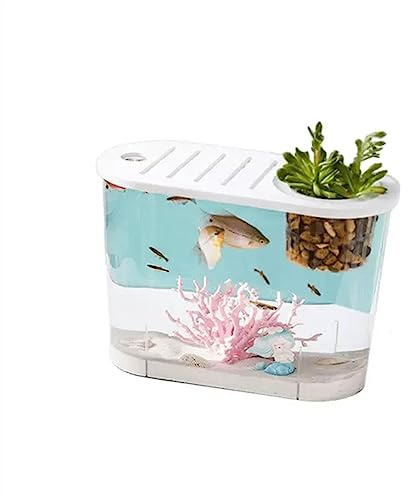 Aquarium, kleines Mikro-Landschafts-Fischglas mit Deckel, für Wasserpflanzen, ovales Design, umweltfreundlich