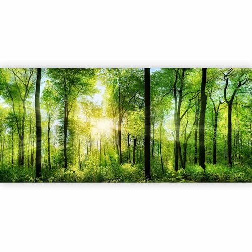 murando Fotomurales Bosque 550x250 cm XXL Papel de esquina Papel pintado | tejido no tejido Decoración de Pared decorativos Murales moderna de Diseno Paisaje Panorama