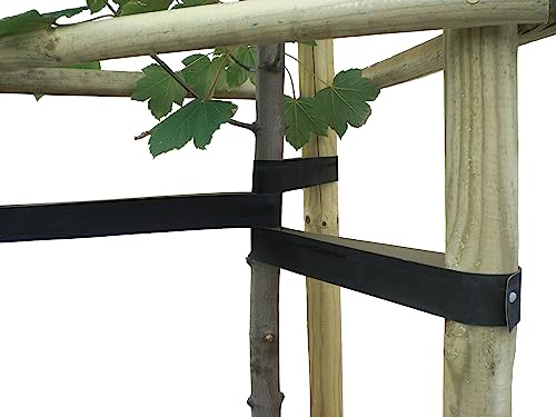 Joma-Tech Sangles d'arbre