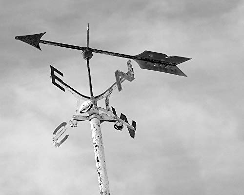 Posterazzi PDXLSRC078LARGE Weather Vane Leah Straatsma Poster Print, 36 x 24, Multicolor