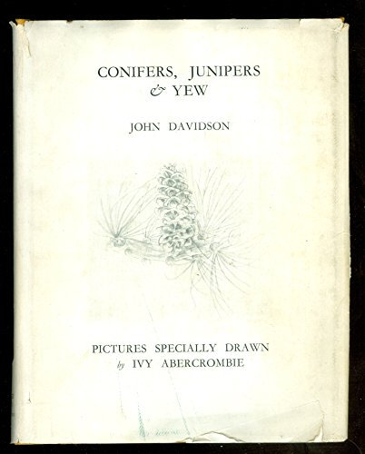 Conifers, Junipers and Yew
