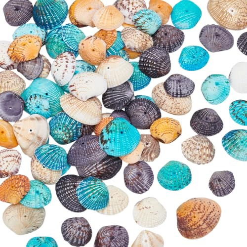 PandaHall 85 piezas conchas de conchas en espiral colgantes Encantos con agujeros para manualidades, decoración del hogar, fiesta en la playa, pecera y rellenos de jarrones (color mezclado)