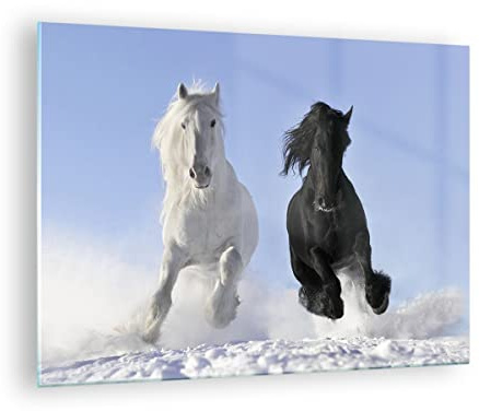 ARTTOR Bilder auf Glas 70x50cm Wandbild Glasdruck Natur Tiere - 2179 | Schönheit Wettbewerb Klein Modern Dekoration Wohnzimmer Schlafzimmer Küche Wanddeko Kunstdruck Art Wall Decor ARTTOR