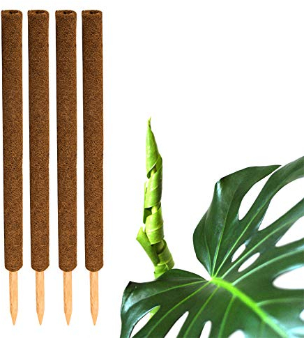 BigDean 4er Set Pflanzstäbe Kokos 80 cm - Monstera Rankhilfe Rankstäbe Stab Moosstäbe Pflanzenstäbe Kokosstäbe für Pflanzen - aus natürlicher Kokosfaser - verlängerbar