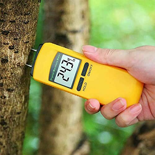 DAZZLEEX Digitales Hygrometer, Feuchtigkeitsmessgerät, Feuchtigkeitsmelder, Holzfeuchte, Wohnwagen-Tester