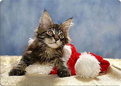 +++ MAINE COON Katze - SCHNEIDEBRETT Dekoteller Glasbrett Dekoglas Weihnachtsteller - MAC 01