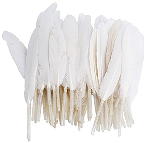 FSSTUD 100 Stück 10-15 cm Länge Gänsefedern Echte Naturfedern Gans Federn für Hochzeit Kostüm Hüte Basteln Dekor Weiß