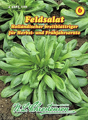 N.L. Chrestensen 44381120 Feldsalat Holländischer breitblättriger (Feldsalatsamen)