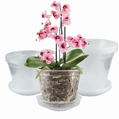 WDragon Clear Orchid Pot,11cm 14cm 17cm Plastic Plant Pots with Holes and Saucers,Nursery Pots for Orchid Repotting Kit (6, 2 each of 11,14,17cm)