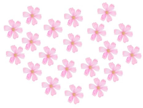 IMIKEYA 40 STK Simulierte Pflaumenblütenkopfblume Blumenköpfe Dekorieren Materialien Für Haarnadeln Selber Machen Seidenblumen Zum Basteln Pfingstrosen Künstliche Blumen Rosa Seidentuch