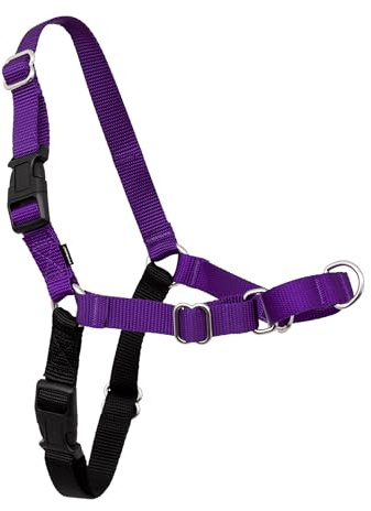 PetSafe Easy Walk No-Pull Hundsele, den ultimata selen som förhindrar att husdjur drar i kopplet på promenader, ta kontroll och lär hunden bättre vanor, storlek S/M, djuplila/svart