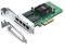 10Gtek® Tarjeta De Red Gigabit PCIE I350-T4 - Intel I350-T4, RJ45 Ports, Gigabit Ethernet PCIE 4 X, 1Gbit PCI Express Ethernet, 10/100/1000Mbps Nic para Windows Server, Windows 7/8/ 10, XP und Linux