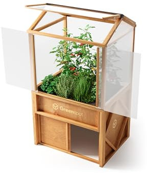 Greenspot - Balkon Gewächshaus - Minigewächshaus - 100 x 80 x 180 cm LxBxH - aus Holz und Kunsstoff, Max. Fachlast 200 kg - für Kräuter, Anzucht, Terrasse - Origin Palisanderbraun