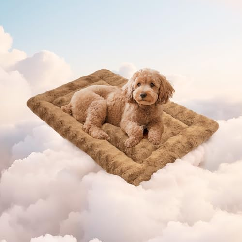Mora Pets Hundedecke Flauschig Hundematte Waschbar und rutschfest Hundekissen für Kleine Mittelgroße Grosse Hundebett Weiches und Kuschelig Hunde Decke, 60 x 45 cm